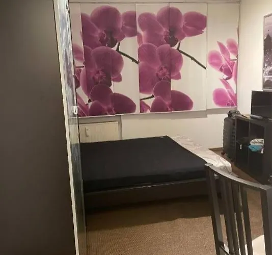 Ruhige Wohnung Im Herzen Von Hannover